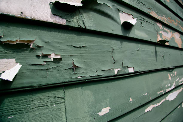 Best Wood Siding Installation  in Mantachie, MS