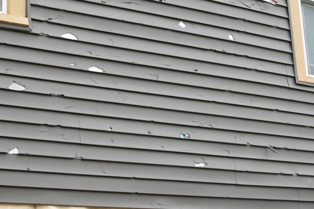 Reliable Mantachie, MS Siding Installation & Repair Solutions